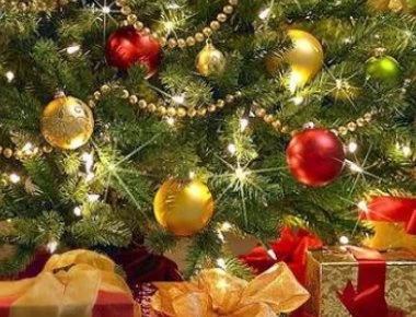 Το ξέρατε; Πάνω από 25.000 ζωύφια έχει κάθε χριστουγεννιάτικο δέντρο που βάζουμε σπίτι